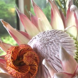 Meet your Posher, Carla